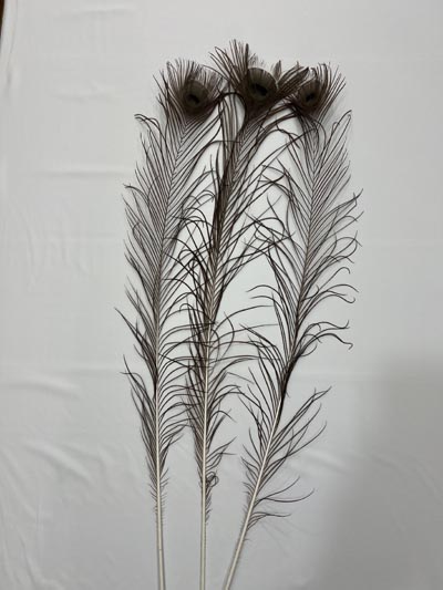 Pávatoll fekete szinű 100cm hosszú